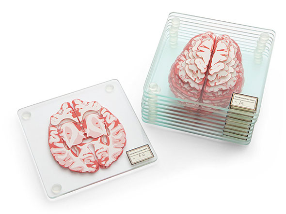 huir_brain_specimen_coasters